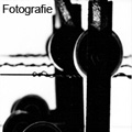 Fotografien