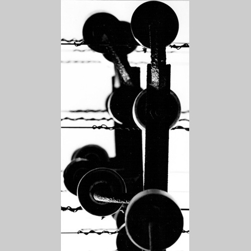 Struktur 8