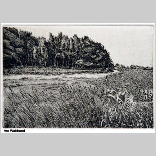 Am Waldrand