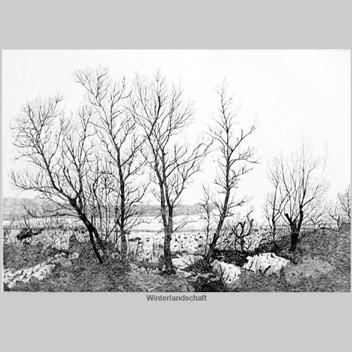 Winterlandschaft